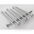 Durable Galvanized Stainless Steel Carbon Concreat Nail